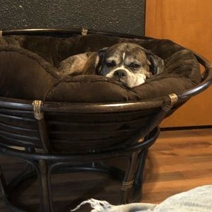 Meet your Posher, Dustin